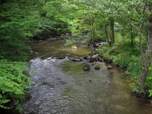 Paisajes de Lemosín - Río bordeado de árboles