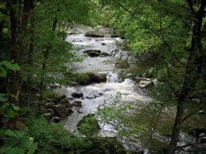 Paisajes de Lemosín - De los ríos, las rocas y los árboles