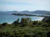 Paisajes del litoral corso - Santa Giulia Golfo: los árboles de pino y vegetación, playa de arena, el mar Mediterráneo, con olas, las colinas en el fondo