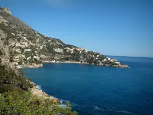 Paisajes del litoral de la Costa Azul - Costa Azul: la vegetación, plantas, montañas y el mar