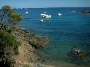 Paisajes del litoral de la Costa Azul - Pino (árbol), la vegetación mediterránea, las rocas y el mar Mediterráneo con barcos