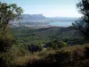 Paisajes del litoral de la Costa Azul - De los Sicié Cap, habida cuenta de los árboles, los bosques Janas, Seyne-sur-Mer, el Mediterráneo, el puerto de Toulon, la ciudad de Toulon, y las colinas