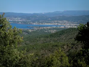 Paisajes del litoral de la Costa Azul - De los Sicié Cap, habida cuenta de los árboles, matorrales, bosques, balnearios que rodean el mar Mediterráneo y las colinas