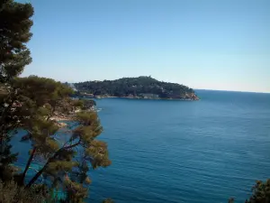 Paisajes del litoral de la Costa Azul - Cap Ferrat y el mar