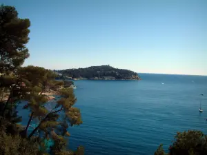 Paisajes del litoral de la Costa Azul - Cap Ferrat y el mar