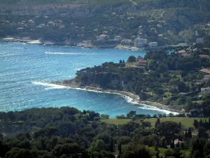 Paisajes del litoral de Provenza - Mar Mediterráneo y la costa, con árboles y casas