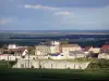 Paisajes de Marne - Avize Común, en la Côte des Blancs (viñedo de Champagne): viñedos, edificios y las casas de las tierras de cultivo del pueblo en el fondo