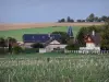Paisajes de Marne - Casas y campanario de una aldea, los campos y los árboles