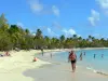 Paisajes de Martinica - Playa de Grande Anse des Salines con su fina arena, cocoteros y mar turquesa; en el municipio de Sainte-Anne