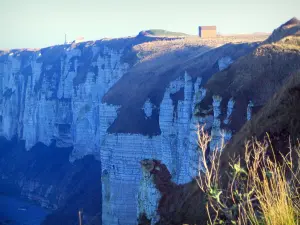 Paisajes de Normandía - Hierba en el primer plano con vistas a los acantilados de la Costa de Alabastro, en el País de Caux