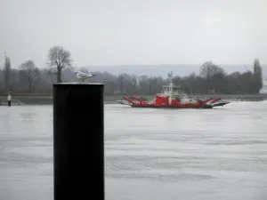 Paisajes de Normandía - Aves Marinas, el río (el Sena) con una bandeja, un banco y los árboles en el valle del Sena