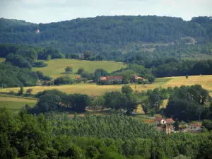 Paisajes de Perigord - Árboles, casas, campos y bosques