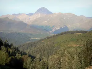 Paisajes de los Pirineos - Bosque de abetos, los pastos, las montañas de los Pirineos con la cumbre del Pic du Midi de Bigorre en el fondo