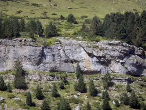 Paisajes de los Pirineos - Parque Nacional de los Pirineos: la roca rodeada de árboles