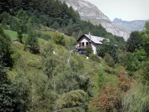Paisajes de los Pirineos - Casa rodeada de pastos y árboles