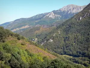 Paisajes de los Pirineos - Montañas cubiertas de árboles