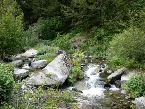 Paisajes de los Pirineos - Néouvielle macizo (Reserva Natural de Néouvielle): arroyo, rodeado de rocas y la vegetación