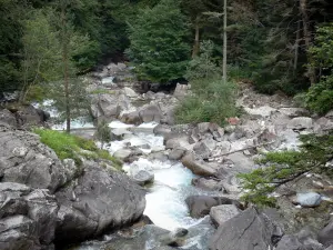 Paisajes de los Pirineos - Torrent bordeadas de rocas y árboles