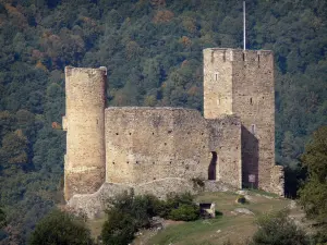 Paisajes de los Pirineos - Château Sainte-Marie (en el pueblo de Luz St Sauveur) y el bosque en el fondo