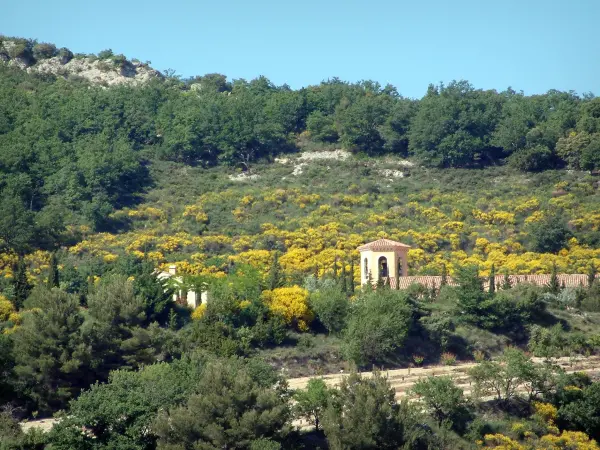 Paisajes de Provenza - De construcción, árboles y vegetación