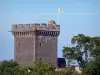 Paisajes de Puy-de-Dôme - Mantenga del castillo de Chateaugay