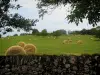 Paisajes de Quercy - Ramas de árboles, paredes de piedra y de campo con fardos de paja