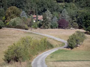 Paisajes de Tarn-et-Garonne - País camino rodeado de campos y árboles