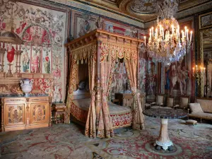 Palace of Fontainebleau - Interior of  the Palace of Fontainebleau: Pope's apartment (or Queen Mothers apartment)