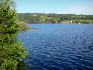 Paladru lake - Natural lake of glacial origin and trees along the water