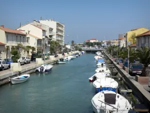 Palavas-les-Flots - Canal, bateaux amarrés, quais agrémentés de palmiers et de lampadaires, immeubles et maisons de la station balnéaire