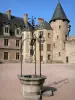 La Palice castle - Main courtyard with a well; facade and tower of the castle; in Lapalisse