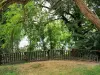 Parc départemental de l'Île-Saint-Denis - Verdure au bord de la Seine