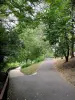 Parc départemental de l'Île-Saint-Denis - Promenade sous les arbres