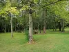 Parc départemental du Morbras - Tables de pique-nique sous les arbres