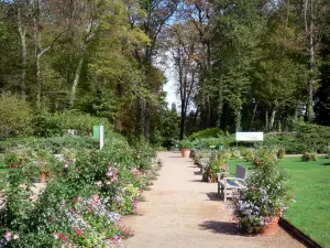 Parc Floral de la Source - Allée bordée de fleurs, arbres