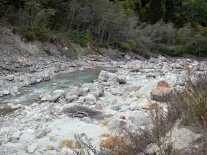 Parc National des Écrins - Vallée du Vénéon - Massif des Écrins : torrent du Vénéon, pierres, rochers et arbres