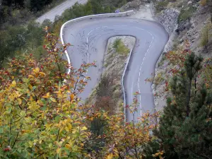 Parc National des Écrins - Massif des Écrins : arbres en premier plan avec vue sur une route en lacet (virage)