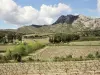 Le Parc Naturel Régional des Alpilles