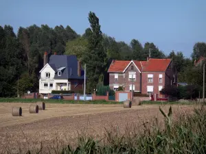 Parc Naturel Régional de l'Avesnois - Épis de maïs en premier plan, maisons, champ avec des bottes de foin, arbres