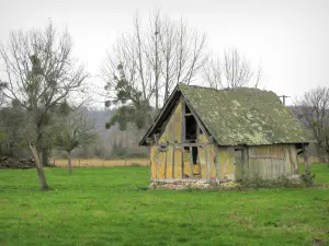 Parc Naturel Régional des Boucles de la Seine Normande - Cabane dans une prairie et arbres