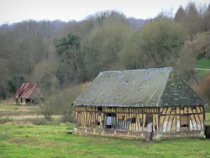 Parc Naturel Régional des Boucles de la Seine Normande - Bâtisses et arbres