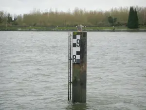 Parc Naturel Régional des Boucles de la Seine Normande - Fleuve (la Seine) et rive avec des arbres