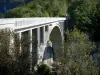 Parc Naturel Régional du Haut-Jura - Massif du Jura : pont des Pierres enjambant la Valserine