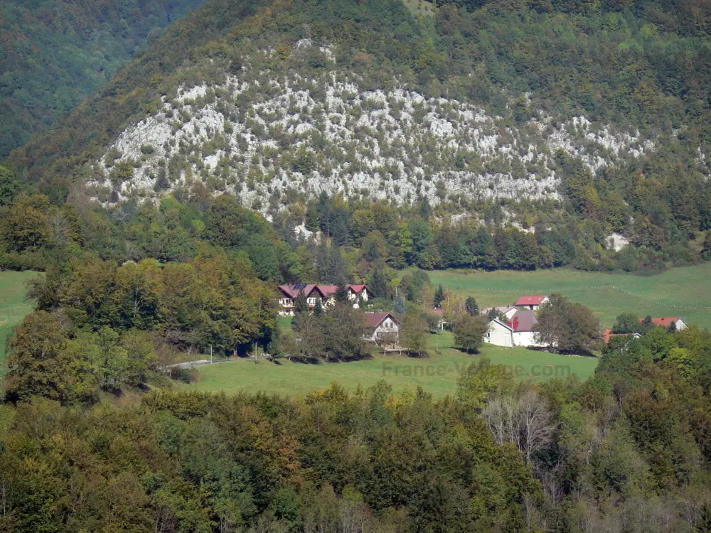 Le Parc Naturel Régional du Haut-Jura - Parc Naturel Régional du Haut-Jura: Massif du Jura : maisons entourées de prairies et d'arbres
