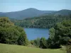 Parc Naturel Régional du Haut-Languedoc - Prairie, arbres, lac du Laouzas et collines couvertes de forêts