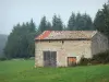 Parc Naturel Régional Livradois-Forez - Cabane en pierre dans un pâturage et sapins en arrière-plan