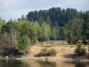 Parc Naturel Régional Loire-Anjou-Touraine - Val de Loire : fleuve Loire, rive et arbres