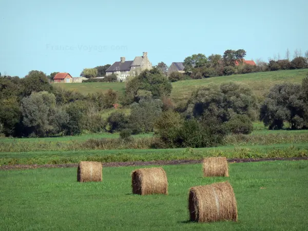 Parc Naturel Régional des Marais du Cotentin et du Bessin - Botte de foin dans un pré, arbres et ferme (maisons)