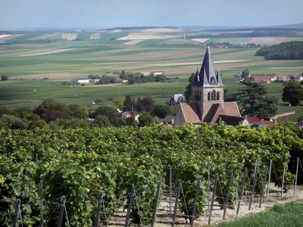 Parc Naturel Régional de la Montagne de Reims - Vignes du vignoble de Champagne (vignoble de la Montagne de Reims), maisons et église de Ville-Dommange avec vue sur les champs environnants en arrière-plan