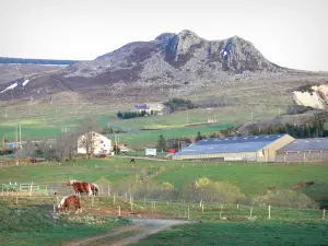 Parc Naturel Régional des Monts d'Ardèche - Massif du Mézenc : ferme entourée de pâturages, chevaux dans un pré et éboulis rocheux en arrière-plan, sur la commune des Estables